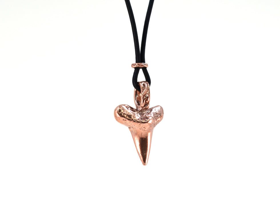 Shark Tooth Neckalce