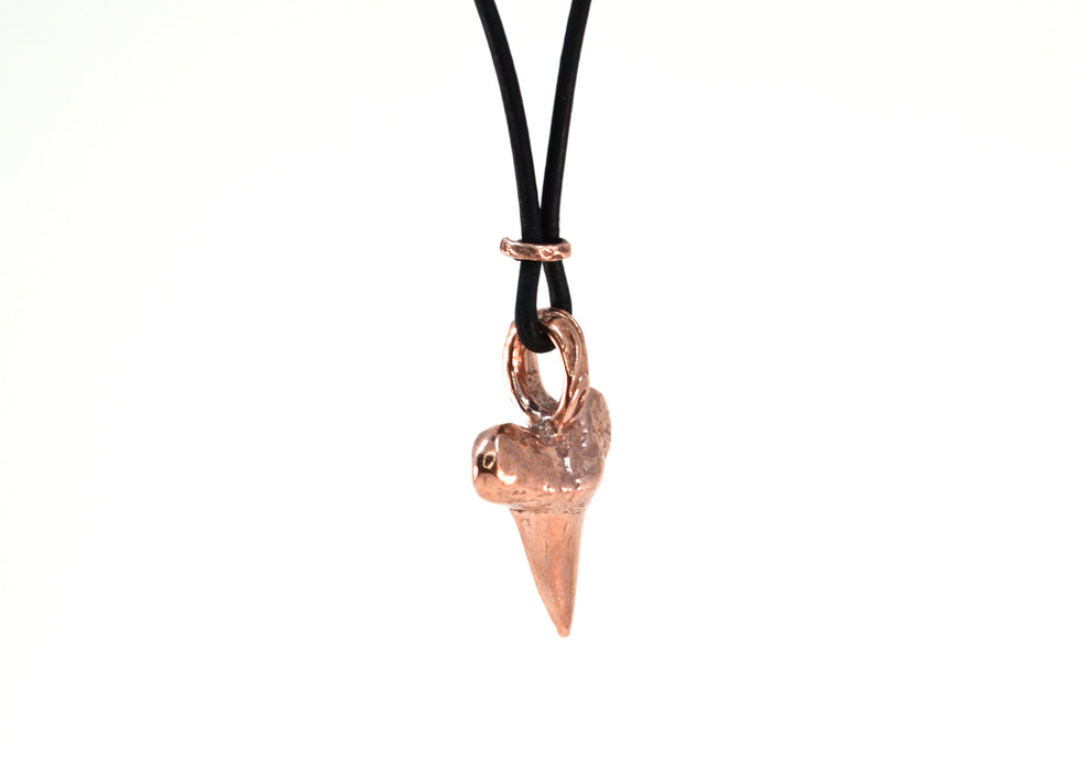 Shark Tooth Neckalce