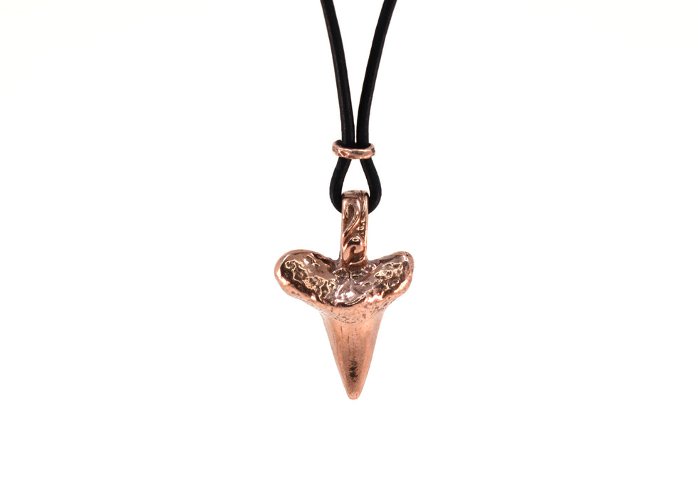 Shark Tooth Neckalce